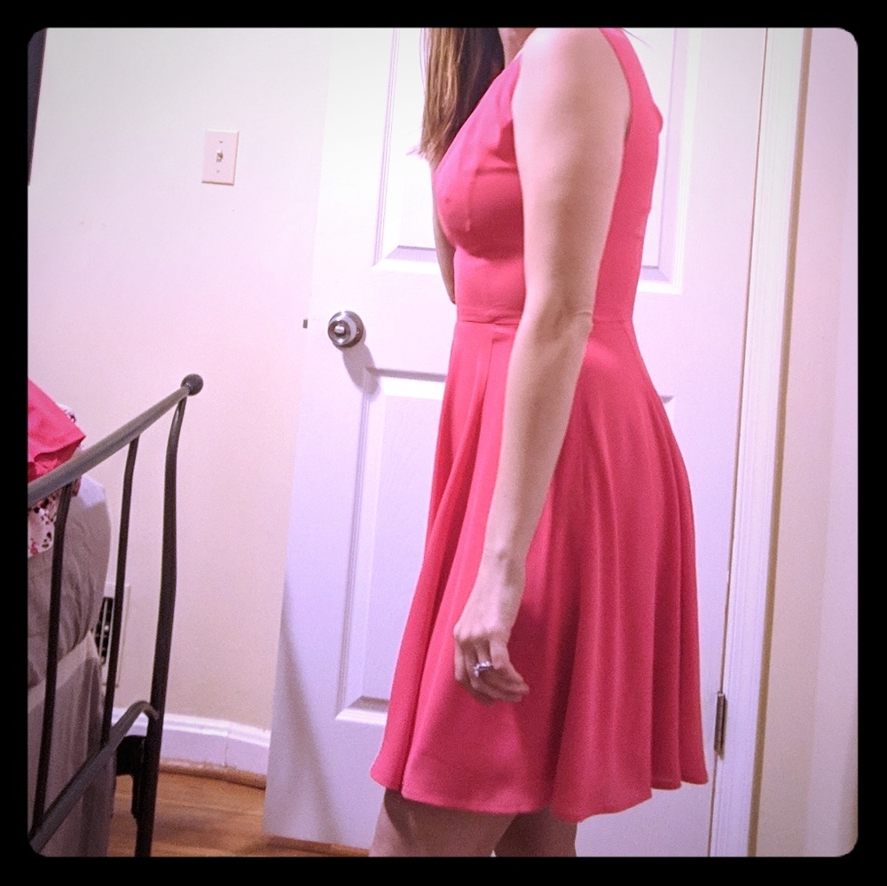 Pink Size 0 Express Dress